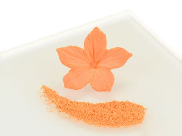 Rainbow Dust Powder Color Pumpkin Pie - Orange 5g