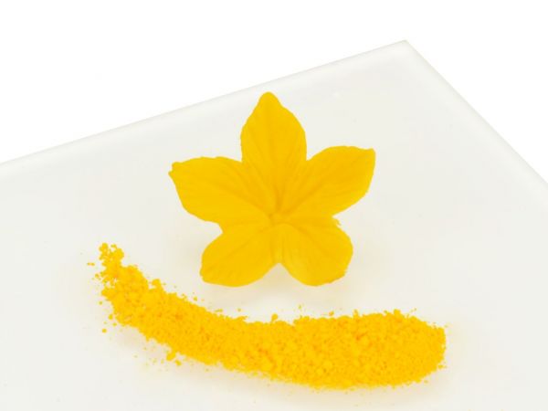 Rainbow Dust Powder Color Sunset Yellow 3.5g