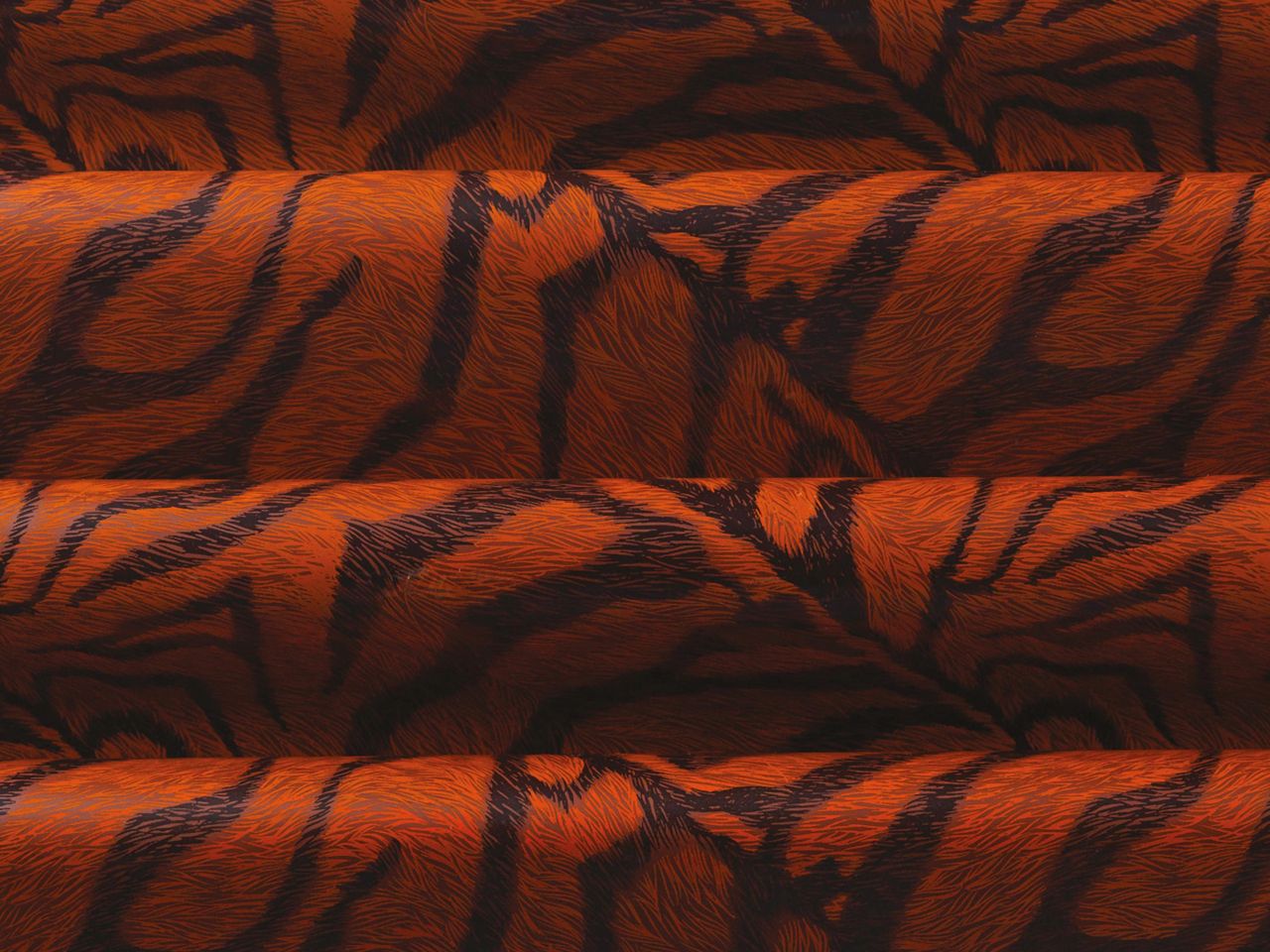 CM Basics Transferfolie Zèbre