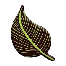 Chocolate leaf decoration